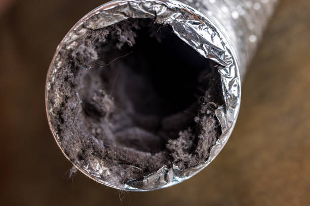 Best Dryer Vent Cleaning Services  in Burnham, IL