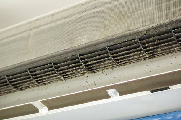 Best Affordable Duct Cleaning Services  in Burnham, IL
